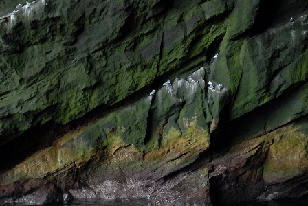 Cave walls